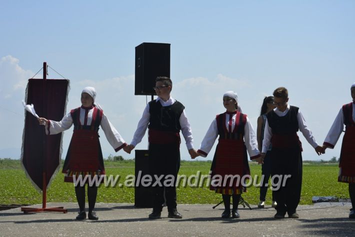 alexandriamou.gr_trikala28.5.2018431